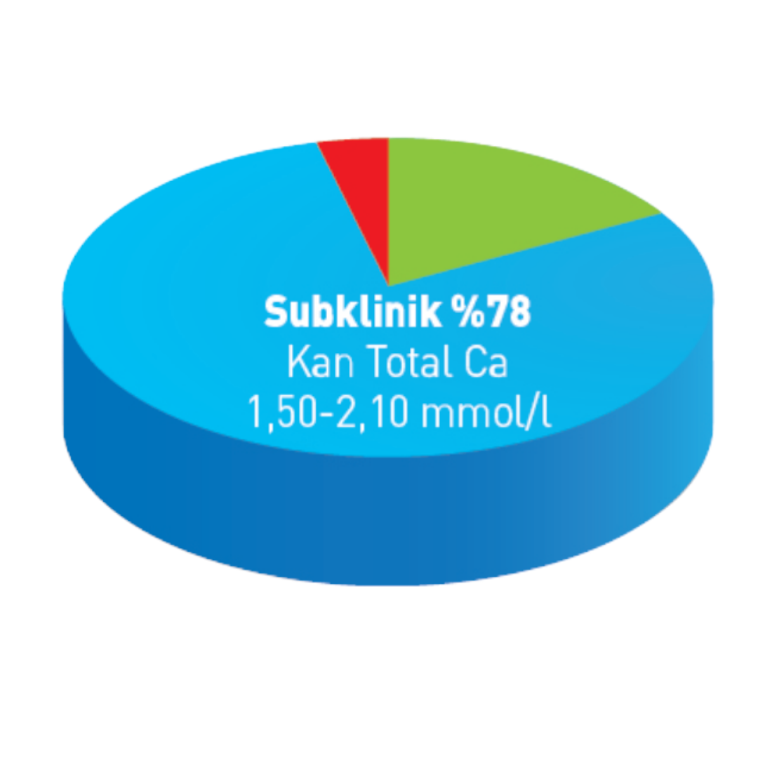Hipokalsemi yönünden sağlıklı hayvanların yüzdesi sadece %18